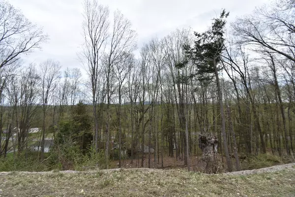 Northampton, MA 01062,1093 Westhampton Rd