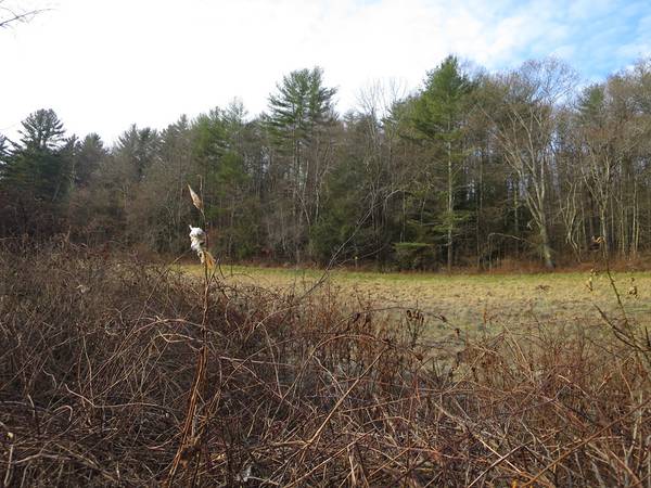 Lot 13 Bumstead Road, Monson, MA 01057