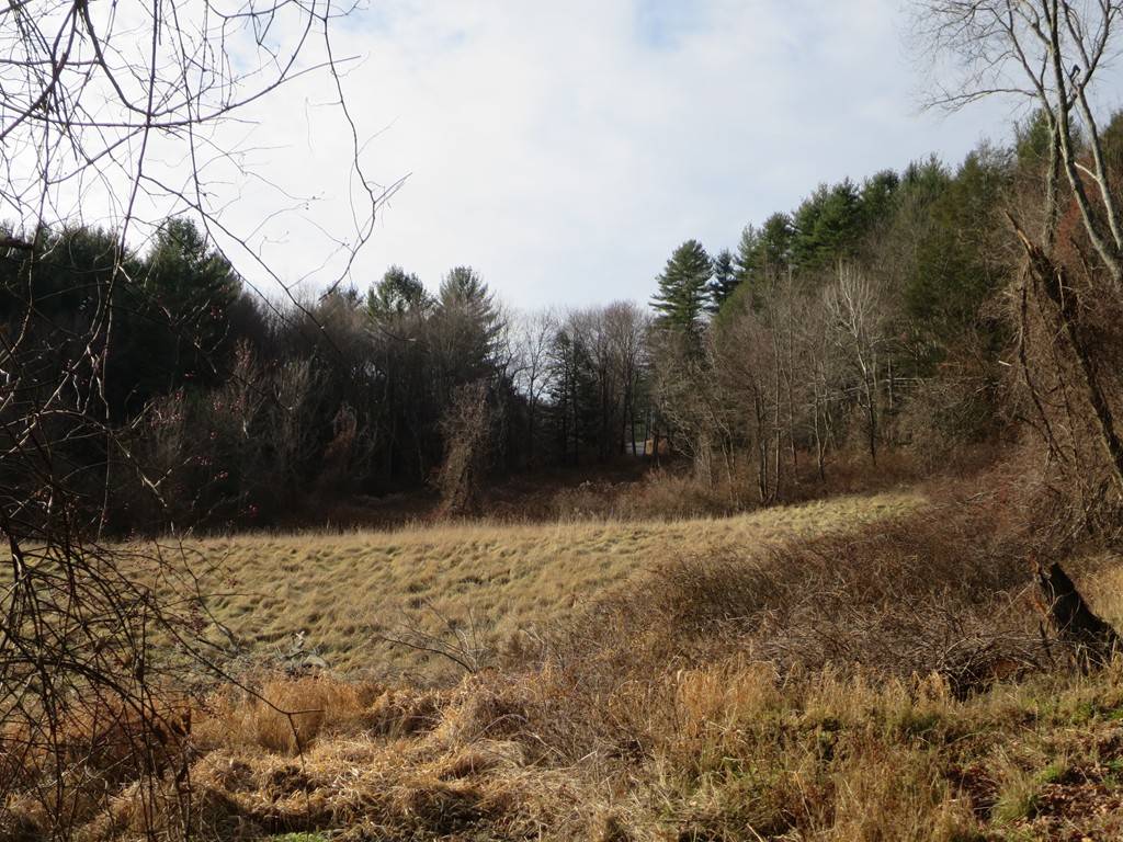 Monson, MA 01057,Lot 19 Bumstead/Robbins Road