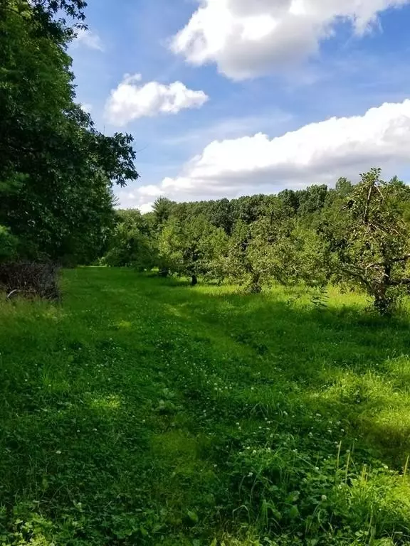 Harvard, MA 01451,168 Bolton Rd