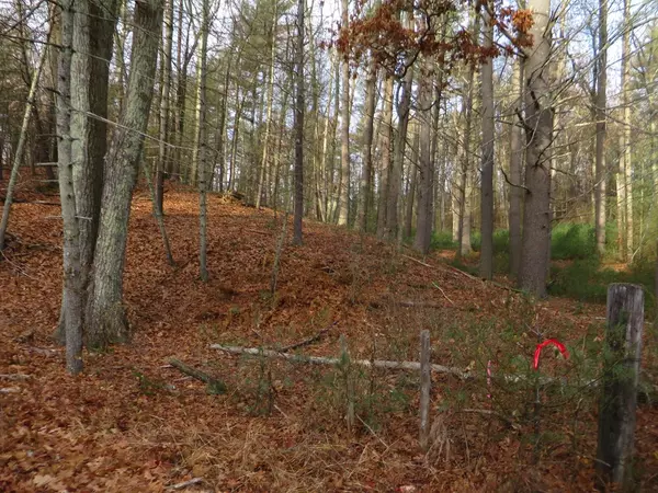 Lot 8 & 9 Bumstead Rd, Monson, MA 01057
