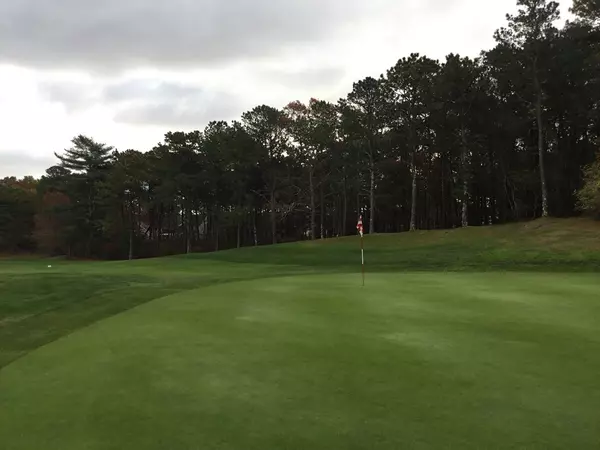 Mashpee, MA 02649,0 Snead Dr (Rear)