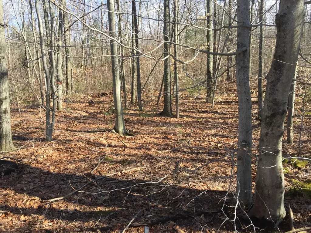 Hubbardston, MA 01452,Lot 7 Old Westminster Rd.,