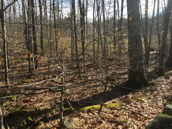 Hubbardston, MA 01452,Lot 7 Old Westminster Rd.,