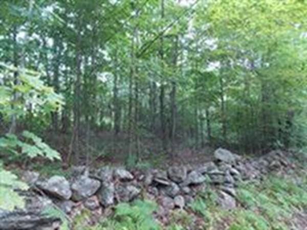 Lot 6 Meacham, New Salem, MA 01355