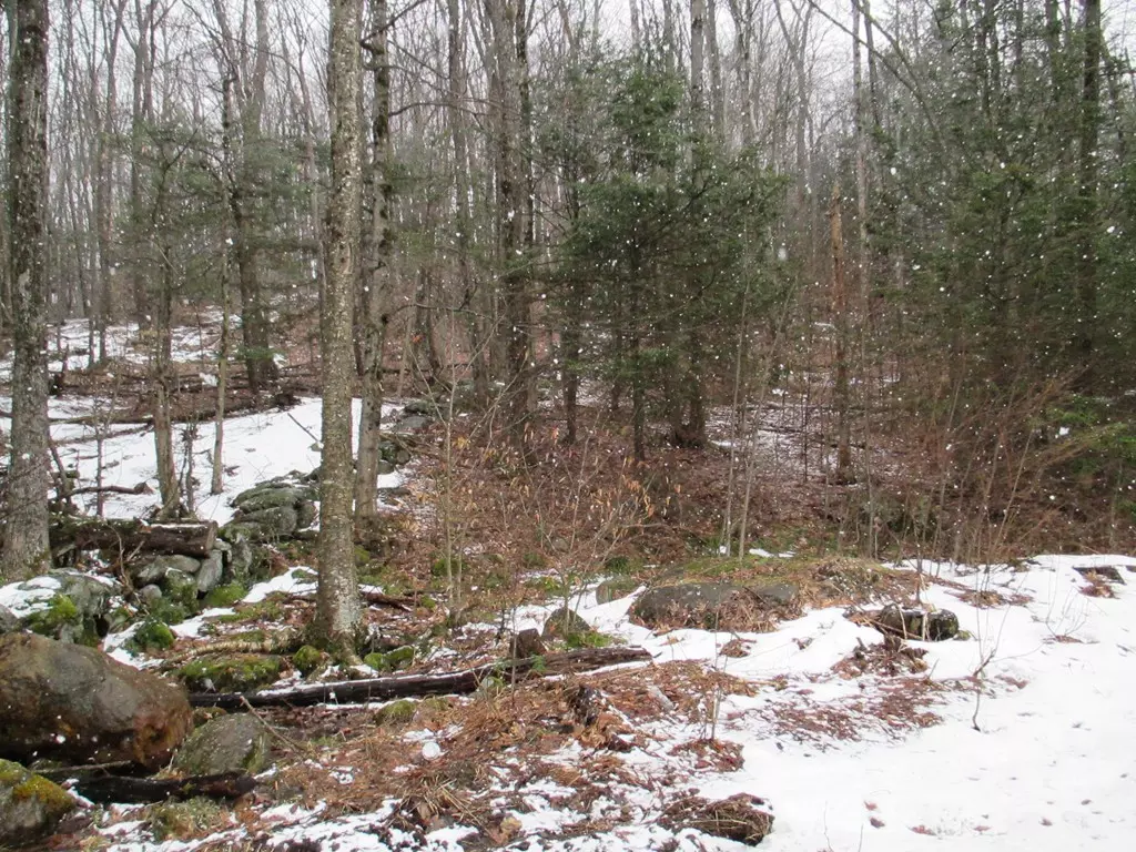 Gardner, MA 01440,Lot 1 Betty Spring Rd