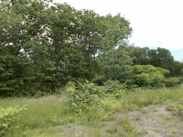 Lot 1 Pine St., Clinton, MA 01510