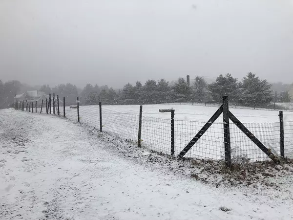 Grafton, MA 01519,111 Merriam Rd