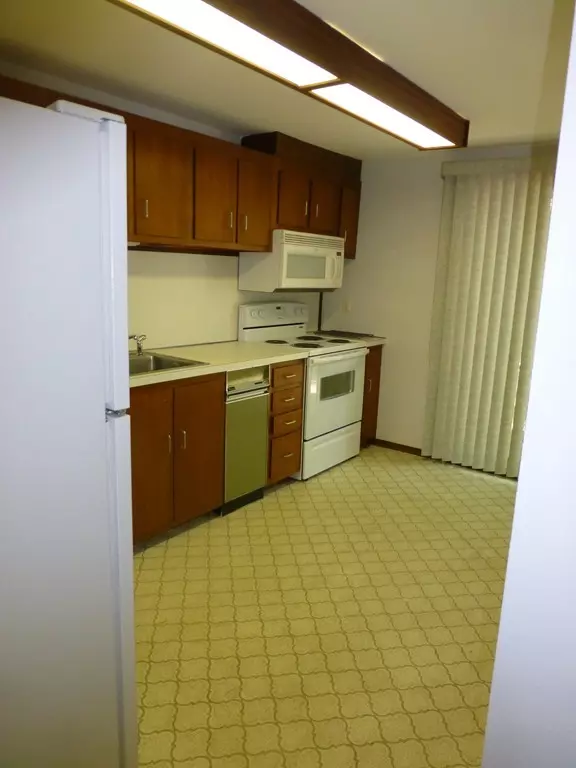 Acton, MA 01718,151 Butternut Hollow #151