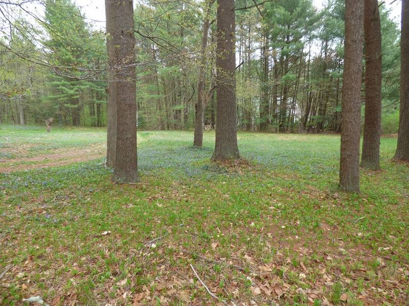 Lot 6A Lincoln, Norwell, MA 02061