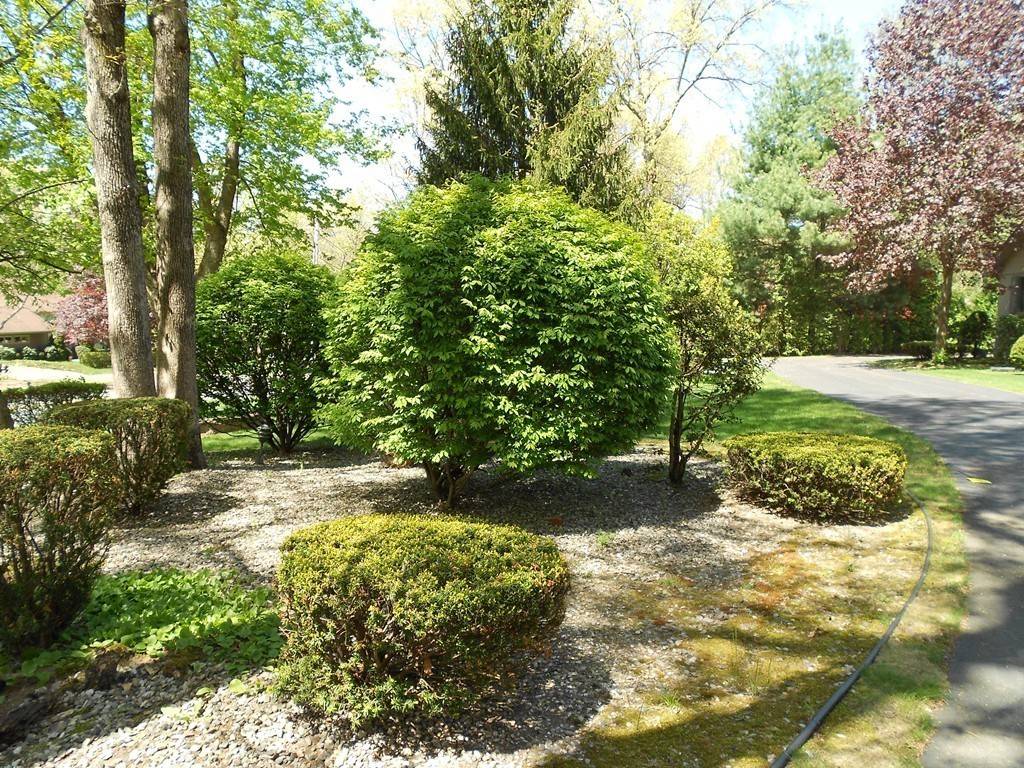 Longmeadow, MA 01106,611 Frank Smith Rd