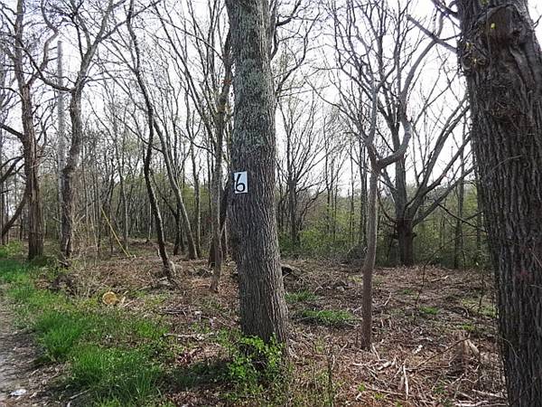 Lot 6 Sodom Rd, Westport, MA 02790