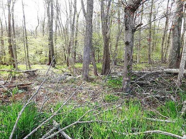 Westport, MA 02790,Lot 15 Sodom Rd