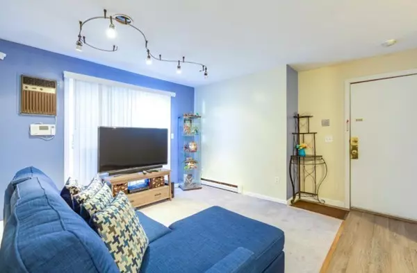 Lynn, MA 01902,8 Lafayette Park #3