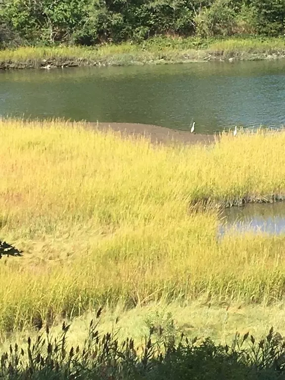 Saugus, MA 01906,2 Atkinson Dr #17