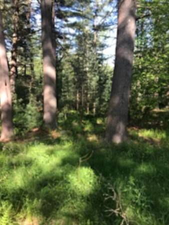 Lot 2 East State Street, Granby, MA 01033