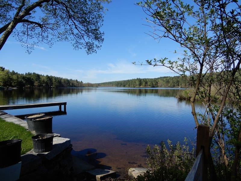 Lot 5 Hardwick Pond Rd, Hardwick, MA 01037