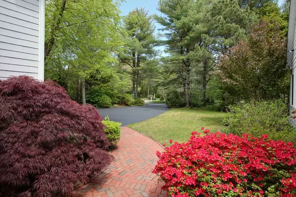 Falmouth, MA 02536,23 Glory