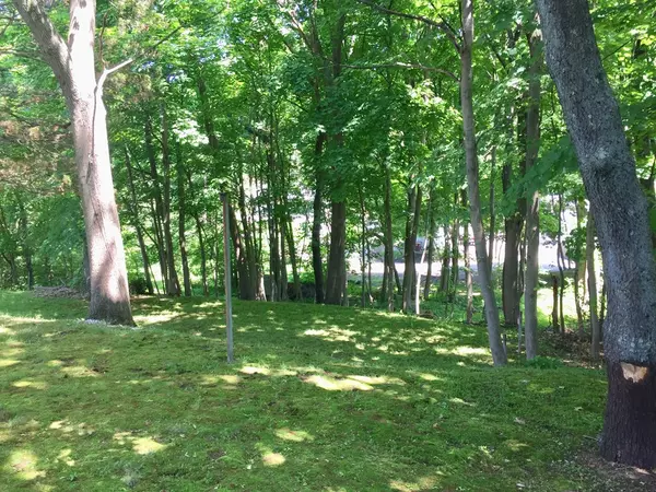 Weymouth, MA 02189,25 Emerson Street