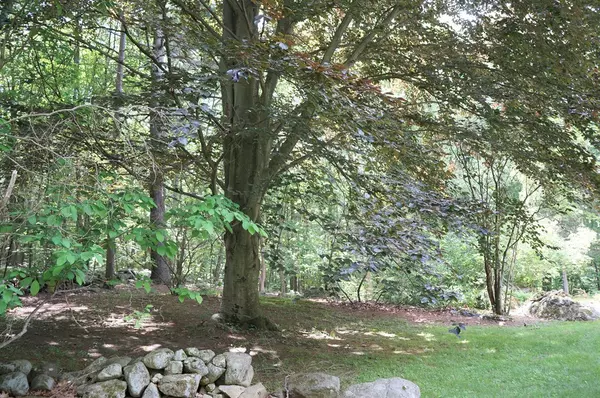 62 Old Littleton Rd, Harvard, MA 01451