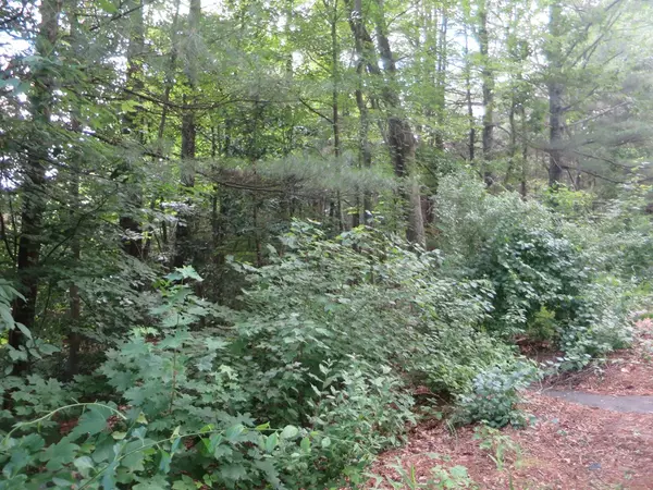 Palmer, MA 01069,Lot 12 Thompson Street