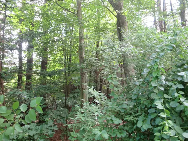 Palmer, MA 01069,Lot 12 Thompson Street