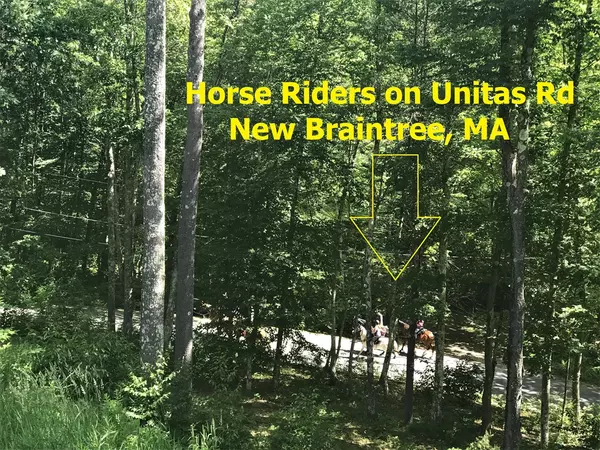 New Braintree, MA 01531,Lot 4.1 Unitas Road