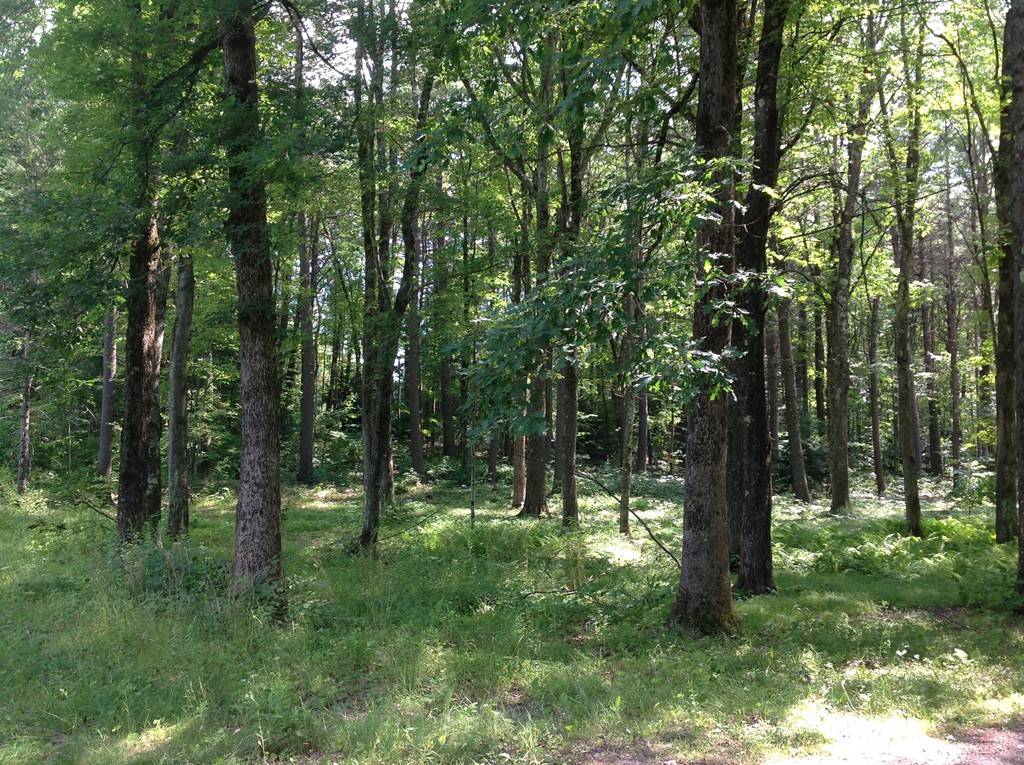 125 Merrifield Rd, Bernardston, MA 01337