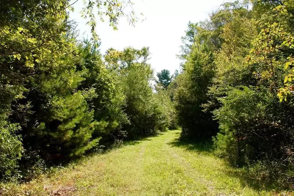 Norwell, MA 02061,9 Mt Blue St