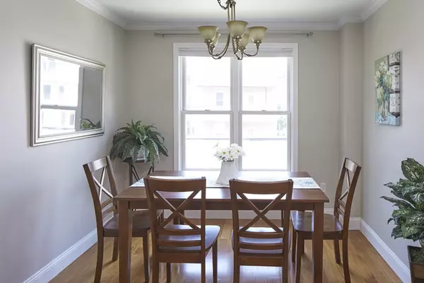 Cambridge, MA 02139,241 Prospect St #3