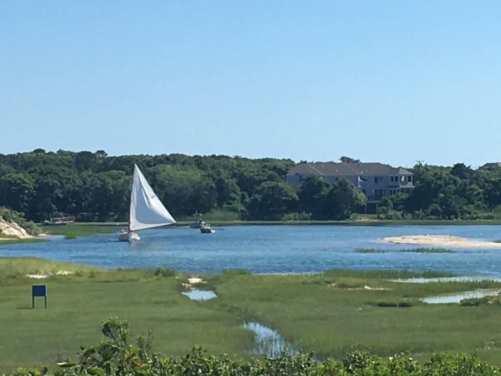 Falmouth, MA 02556,12 Buckthorn Lane