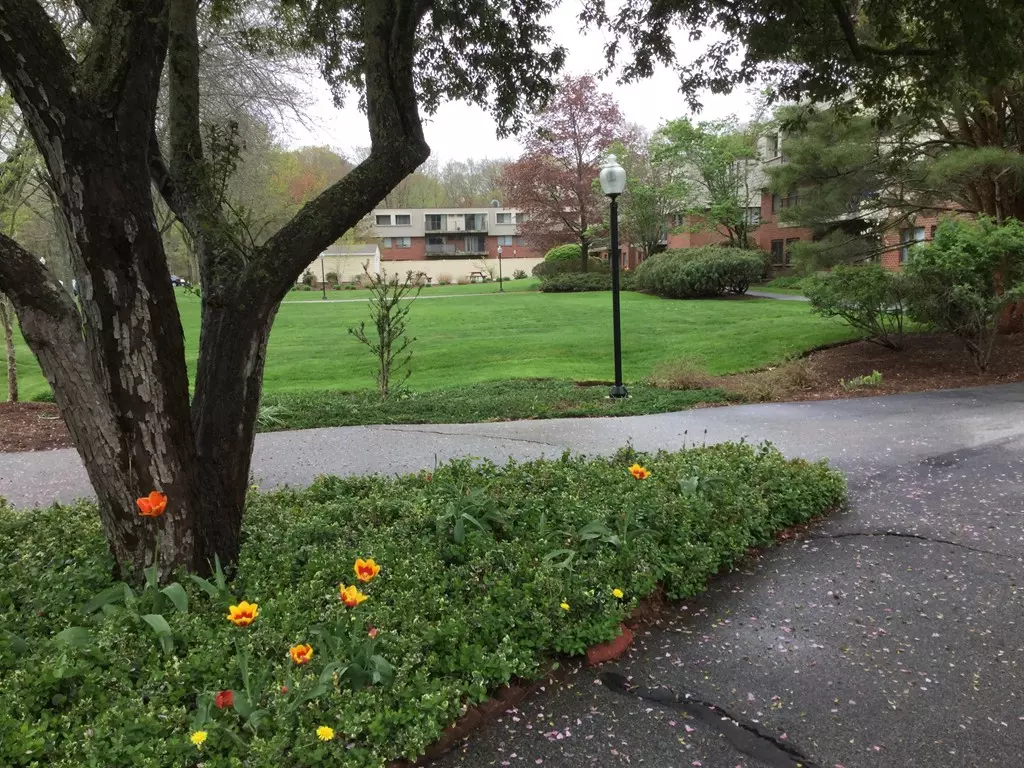 Weymouth, MA 02189,575 Broad Street #208