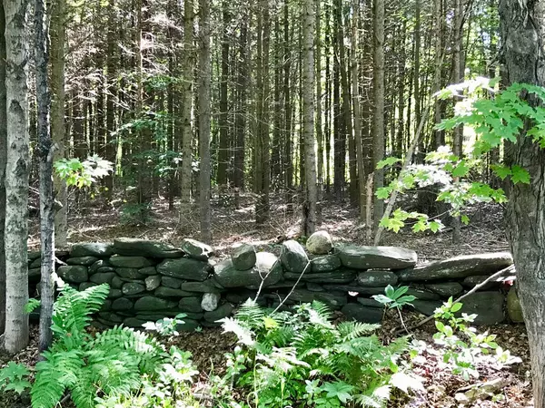 Heath, MA 01346,0 Hosmer Road