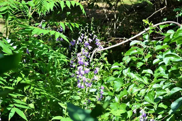 Beverly, MA 01915,21 Porter Terrace