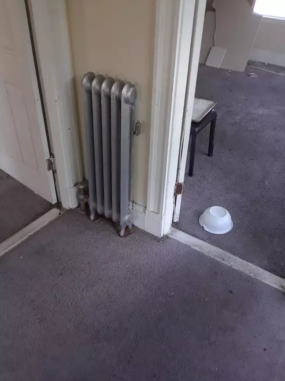 Lynn, MA 01902,10 Henry Ave