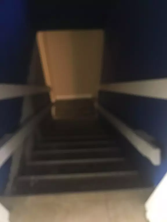 Lynn, MA 01902,12 Brownville Ave