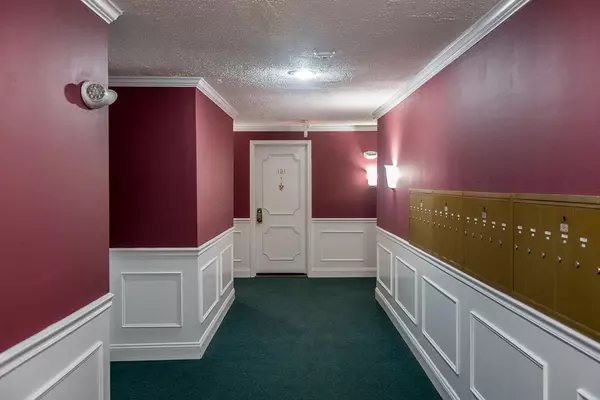 Chelmsford, MA 01824,181 Littleton Rd #133