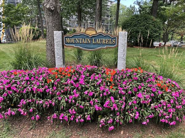 10 Mountain Laurels Dr #206, Nashua, NH 03062