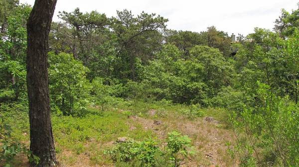 Truro, MA 02666,7 Chickadee Lane