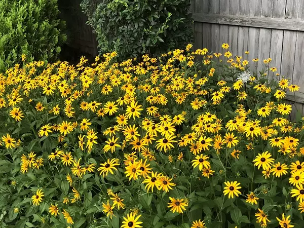 Worcester, MA 01605,7-B Knight St