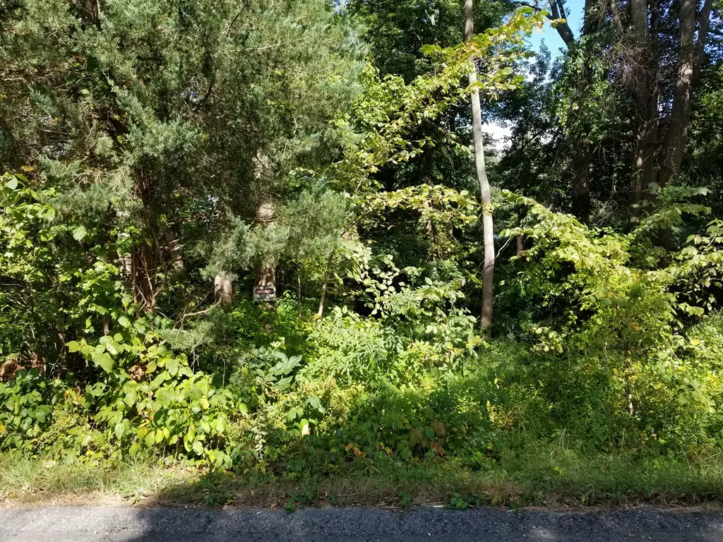 Southborough, MA 01772,LOT 2 Oregon Rd.