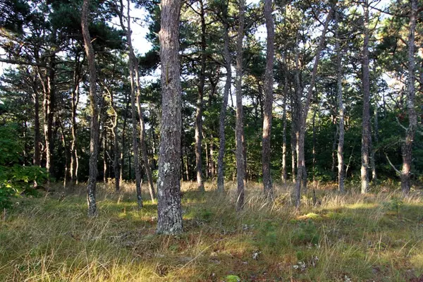 Wellfleet, MA 02667,105 Hopkins Dr