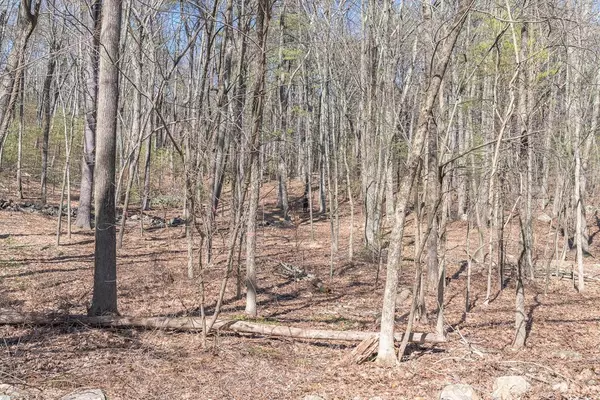 Harvard, MA 01451,Lot 1 Sherry Road