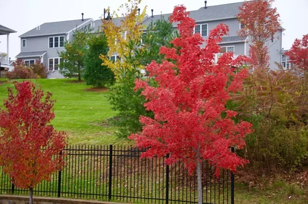 Marlborough, MA 01752,42 Ice House #42