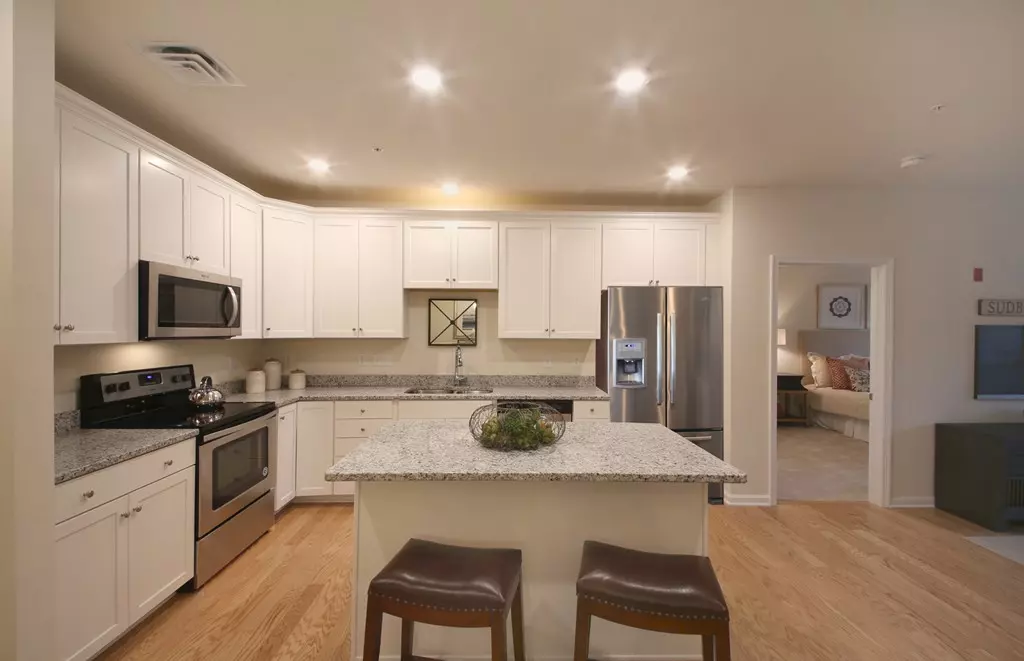 Sudbury, MA 01776,22 Farmstead Lane #203