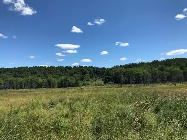 Harvard, MA 01451,262 Ayer Rd