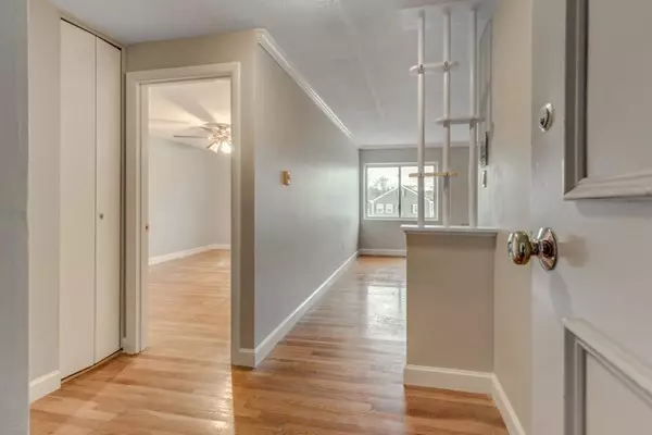 Melrose, MA 02176,260 Tremont St #8