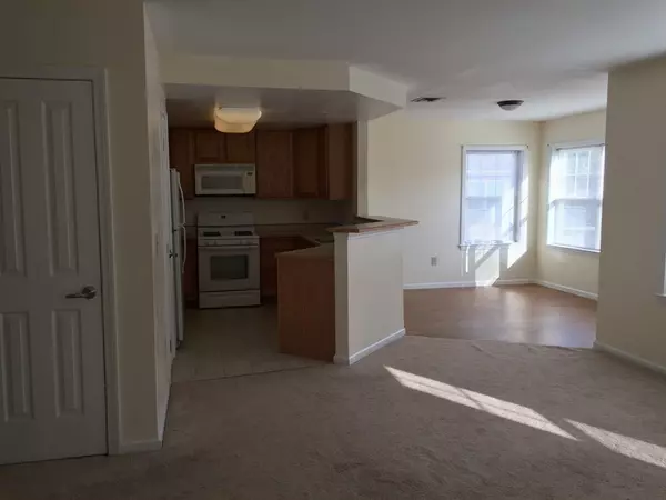 Groton, MA 01450,509D Main Street #D