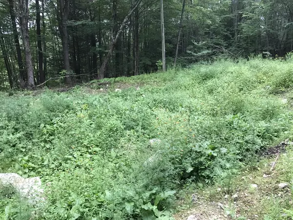 Barre, MA 01005,153 Cutler Rd