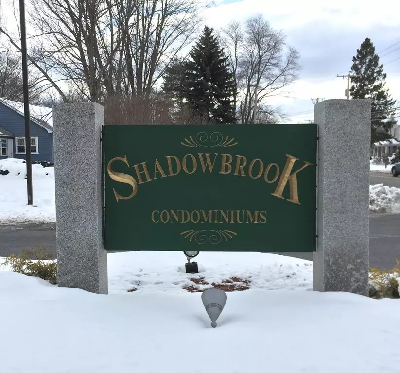 Milford, MA 01757,19 Shadowbrook Lane #10